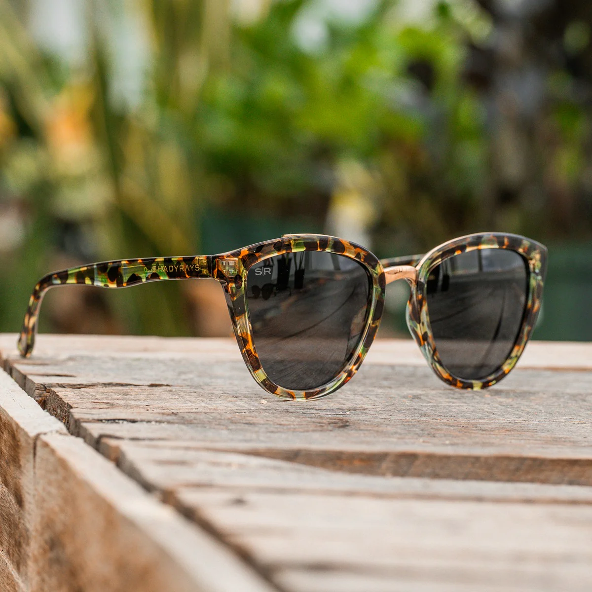 166-calico-mosaic-tortoise-polarized-6.webp Calico - Mosaic Tortoise Polarized