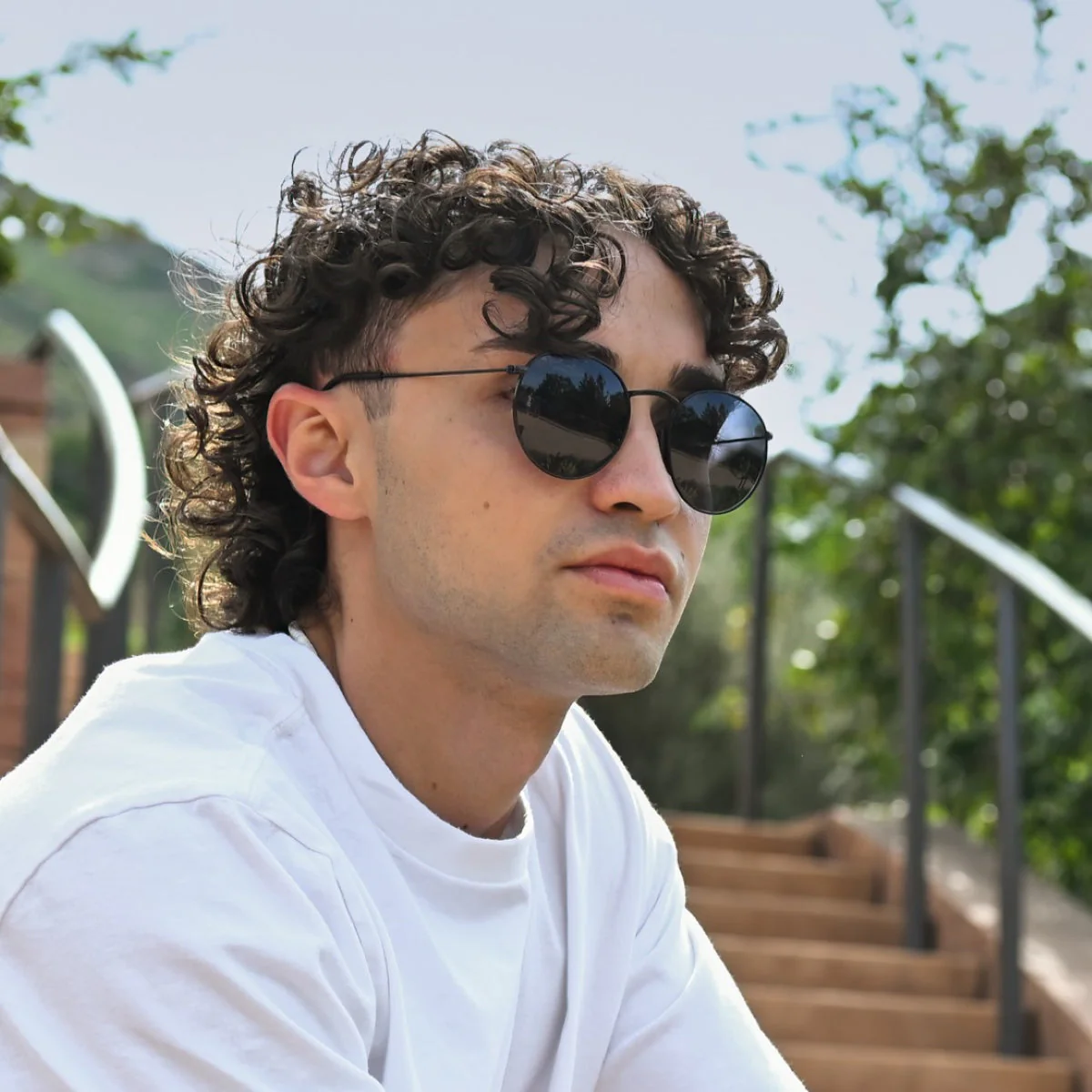 Tangle Free Aston - Stealth Polarized